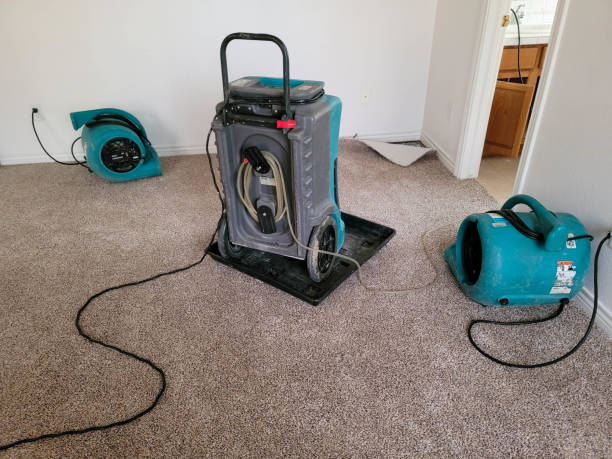 Best Commercial water damage restoration  in Wolfdale, PA