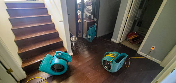 Best Emergency water damage restoration  in Wolfdale, PA