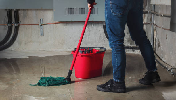Best Water damage restoration near me  in Wolfdale, PA