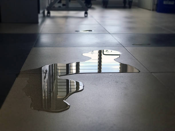 Water damage restoration insurance claims in Wolfdale, PA