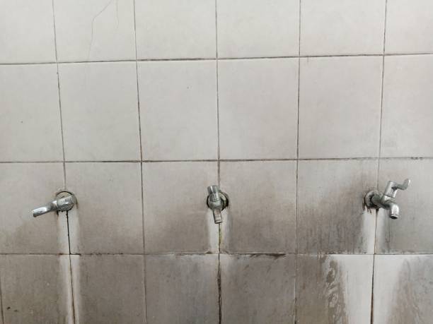 Best Sewage cleanup and water damage restoration  in Wolfdale, PA