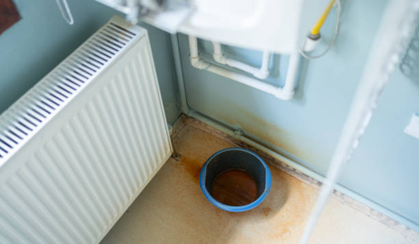 Best Carpet water damage restoration  in Wolfdale, PA