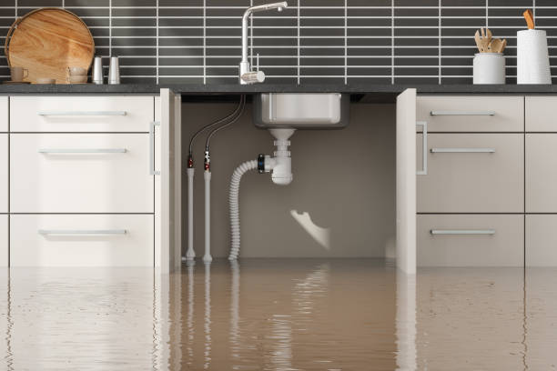 Best 24-hour water damage restoration  in Wolfdale, PA