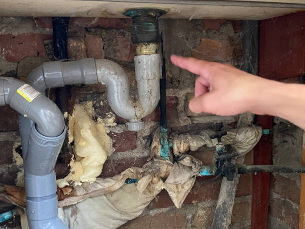 Best Local water damage restoration  in Wolfdale, PA