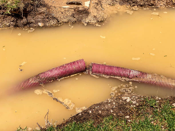 Carpet water damage restoration in Wolfdale, PA
