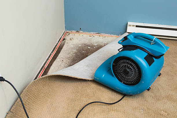 Best Water damage restoration specialists  in Wolfdale, PA